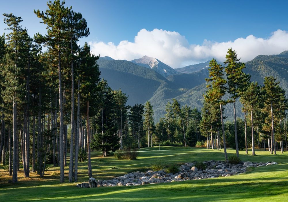 5. Copy of pirin pines 4 wide