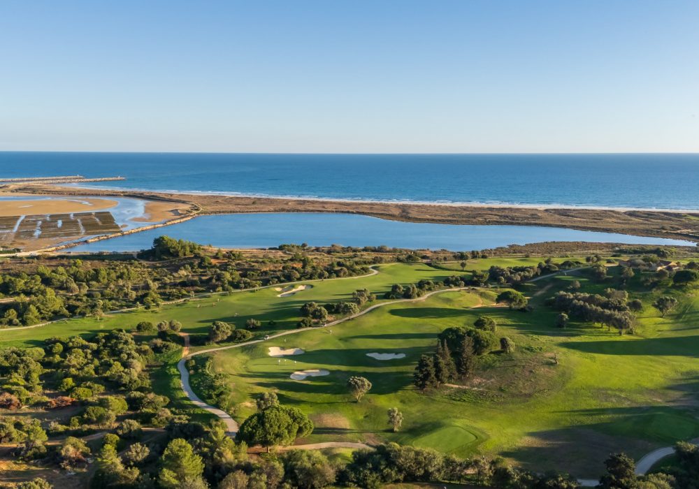 20241112_Palmares_100